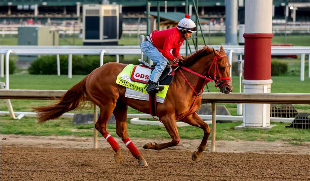 2026 Kentucky Derby