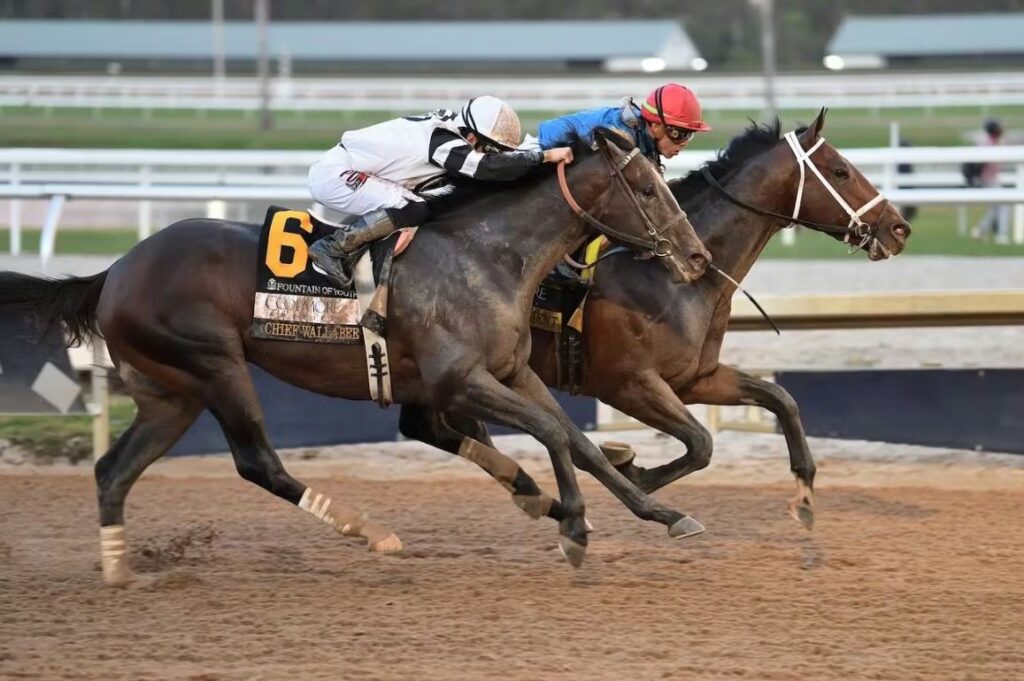 2026 Kentucky Derby